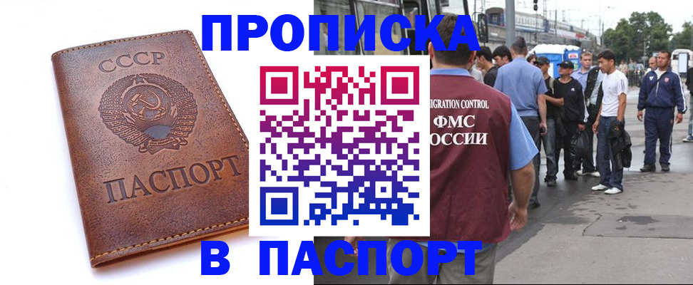 временная регистрация поиск в Александровске